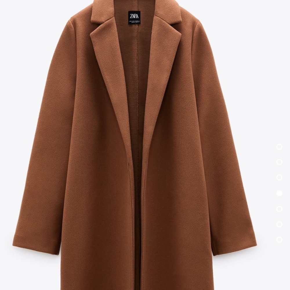 ZARA Lapel Coat